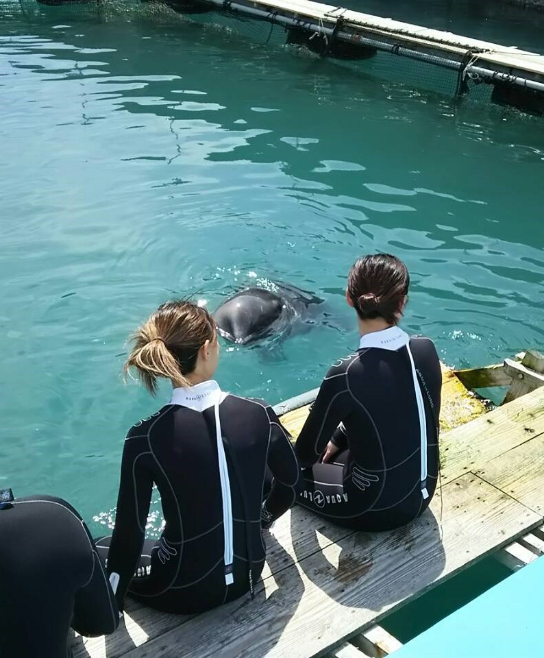 徳島ええとこ