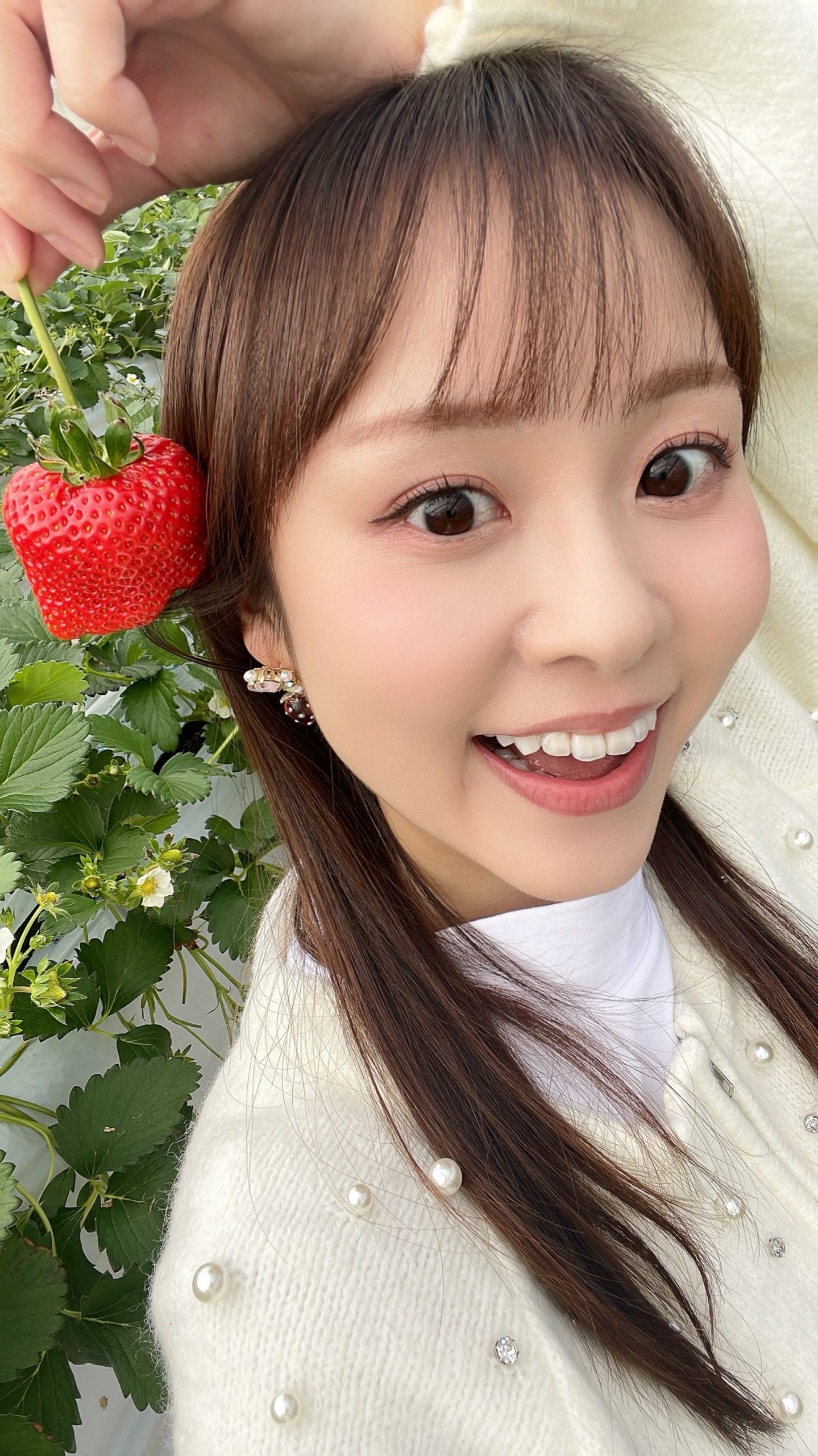いちご🍓🍓🍓お出かけに！