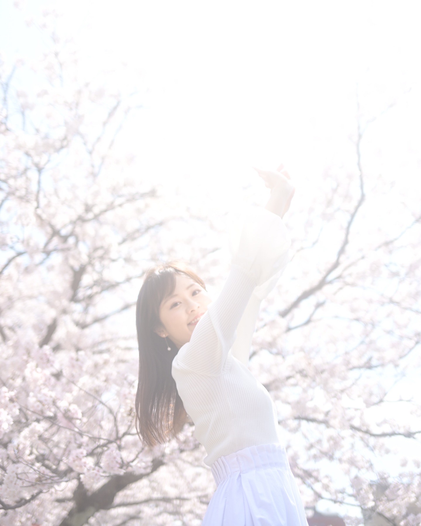 新ふむふむ宜しくお願いします🌸