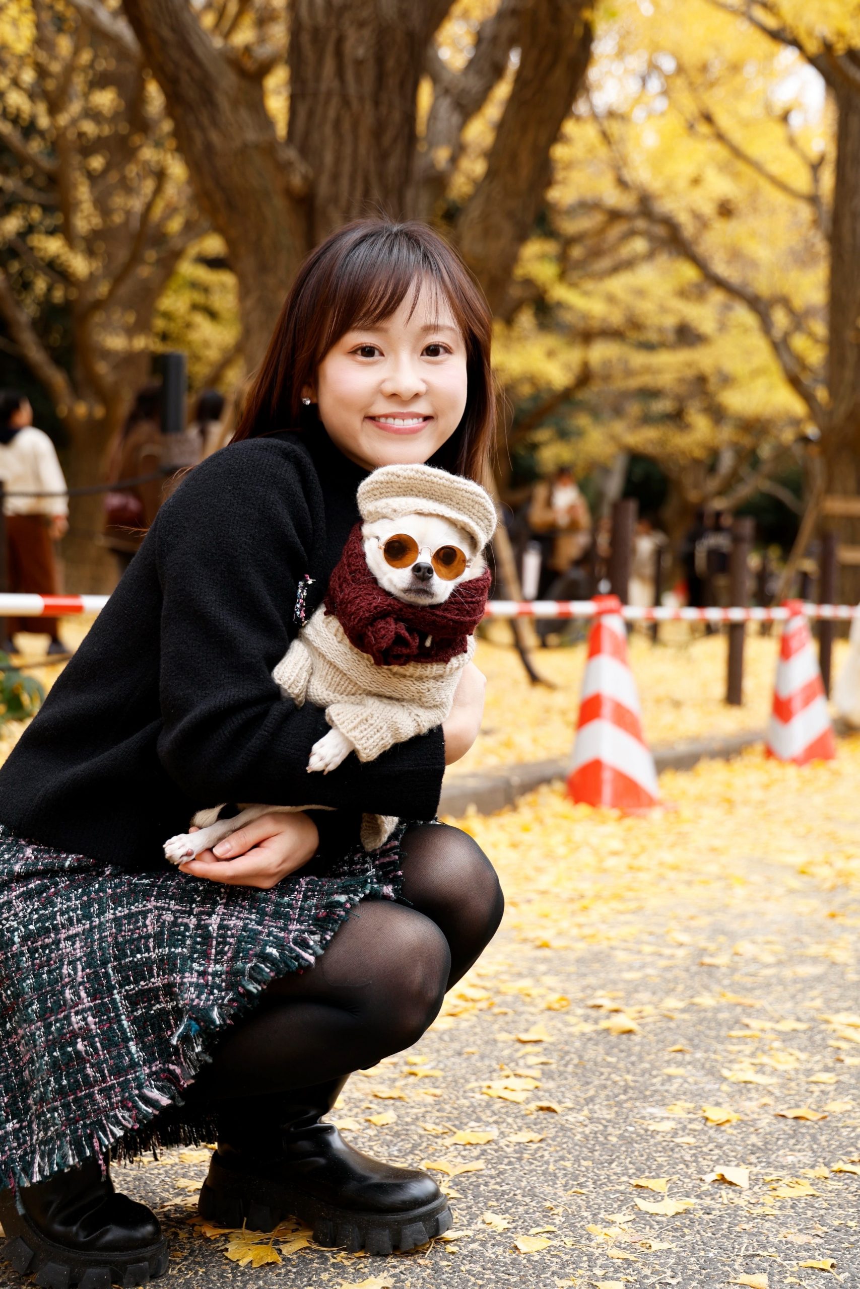 銀杏並木きれい～