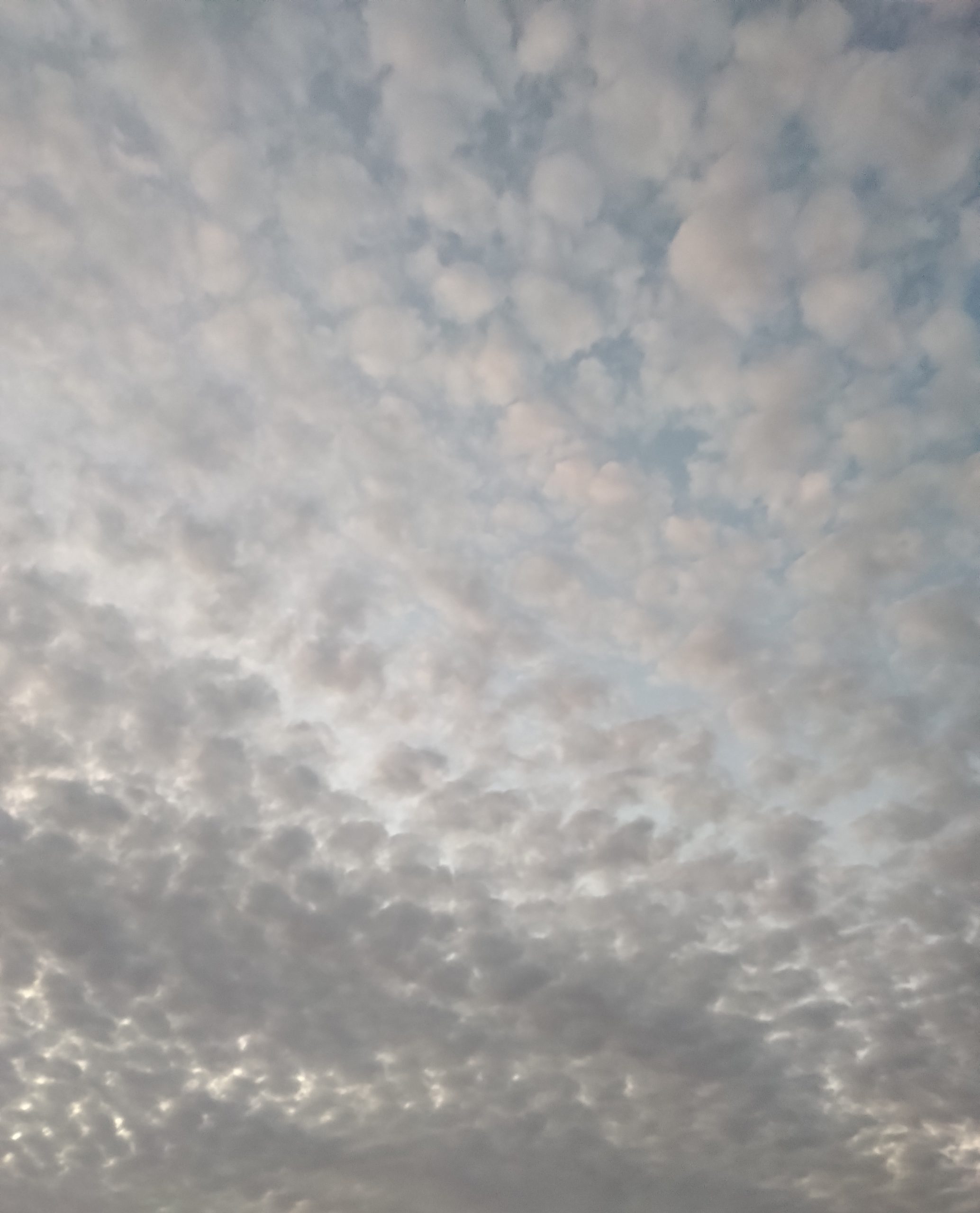 かなざわジャーナル　12月28日放送です