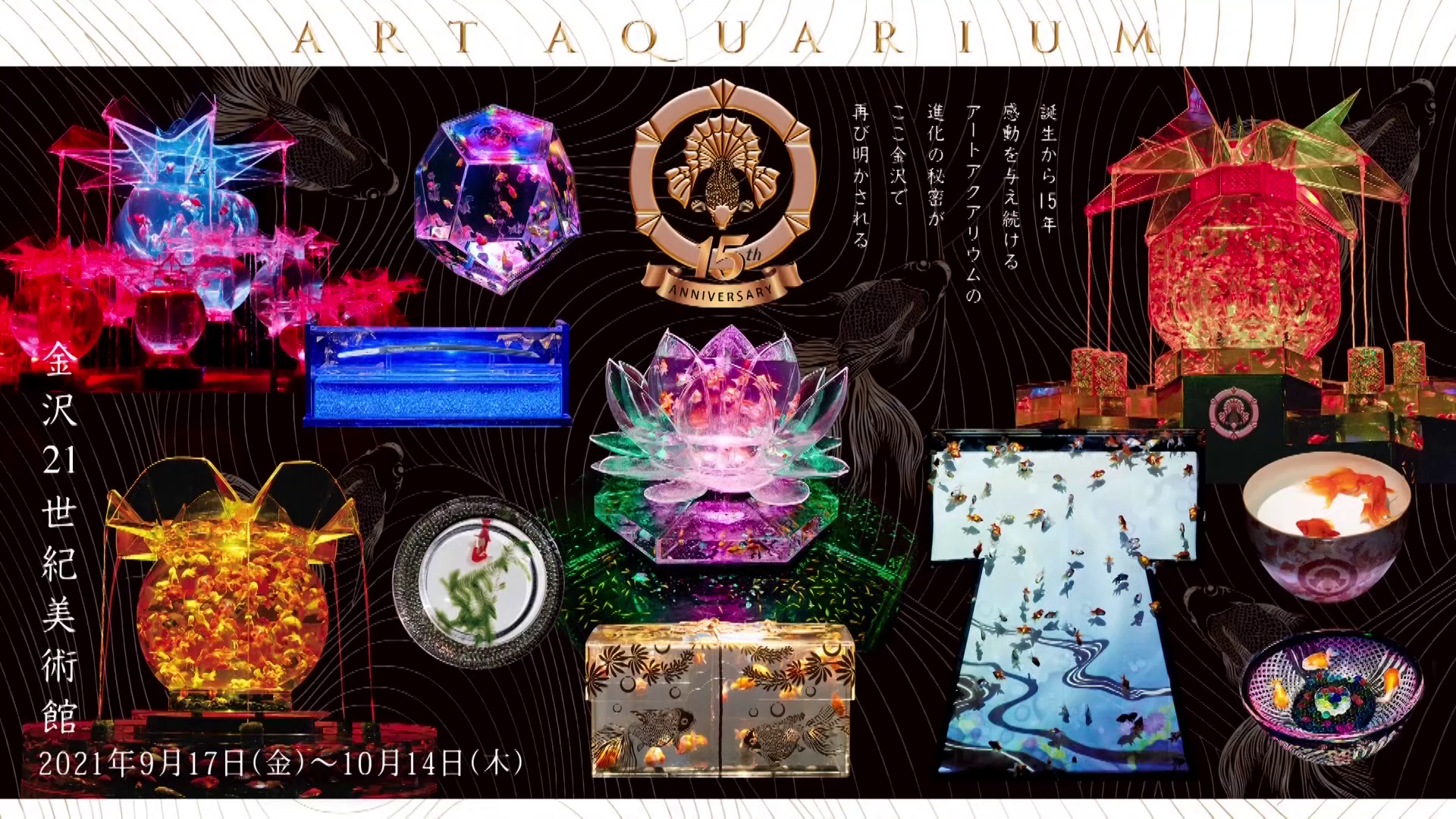 アートアクアリウム展 金沢 金魚の密 特設サイト 北陸朝日放送 アートアクアリウム展 金沢 金魚の密 特設サイト 北陸朝日放送