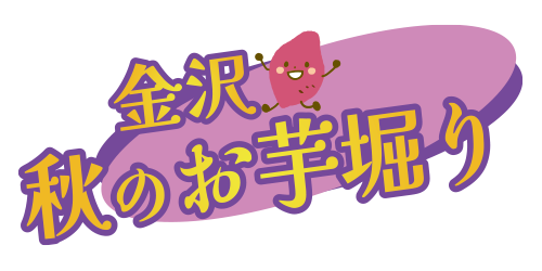 金沢秋のお芋掘り